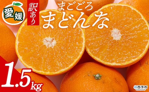 先行予約＜訳あり 愛媛県産 まごころまどんな 合計約1.5kg＞ 『2026年11月以降順次出荷予定』ご家庭用 ご自宅用 紅まどんな マドンナ お試し わけあり 果物 柑橘 フルーツ 高級 国産 濃厚 果汁 産地直送 ミヤモトオレンジガーデン 愛媛県 西予市【常温】