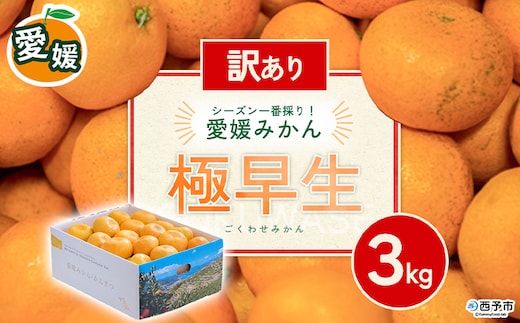 先行予約＜訳あり 愛媛県産 極早生みかん 合計約3kg＞ 『2026年10月以降順次出荷予定』 みかん フレッシュ ご家庭用 ご自宅 ごくわせ キロ 果肉 お試し 果物 柑橘 フルーツ オレンジ 国産 濃厚 産地直送 ミヤモトオレンジガーデン 愛媛県 西予市【常温】