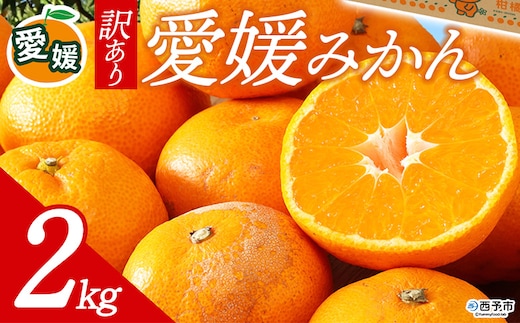 先行予約＜訳あり 愛媛みかん 合計約2kg＞ 『2026年11月以降順次出荷予定』温州 みかん フレッシュ ご家庭用 ご自宅 蜜柑 愛媛県産 キロ 果肉 お試し 果物 柑橘 フルーツ オレンジ 国産 濃厚 産地直送 ミヤモトオレンジガーデン 愛媛県 西予市【常温】