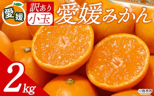 先行予約＜訳あり 愛媛県産 小玉みかん 合計約2kg＞ 『2026年11月以降順次出荷予定』 甘さ凝縮 フレッシュ ご家庭用 ご自宅 蜜柑 果肉 お試し 果物 柑橘 フルーツ オレンジ 国産 濃厚 果汁 産地直送 ミヤモトオレンジガーデン 愛媛県 西予市【常温】