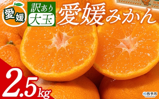 先行予約＜訳あり 大玉 愛媛みかん 合計約2.5kg＞ 『2026年11月以降順次出荷予定』温州 みかん フレッシュ ご家庭用 ご自宅 蜜柑 愛媛県産 果肉 お試し 果物 柑橘 フルーツ オレンジ 国産 産地直送 ミヤモトオレンジガーデン 愛媛県 西予市【常温】