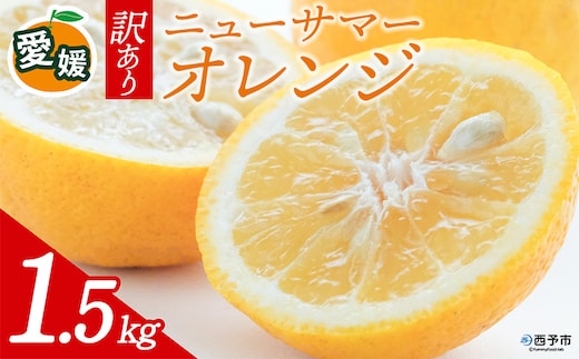 先行予約＜訳あり 愛媛県産 ニューサマーオレンジ 合計約1.5kg＞ 『2026年4月中旬以降順次出荷予定』日向夏 小夏 ご家庭用 ご自宅 蜜柑 果肉 果物 柑橘 フルーツ オレンジ 国産 濃厚 果汁 産地直送 ミヤモトオレンジガーデン 愛媛県 西予市【常温】