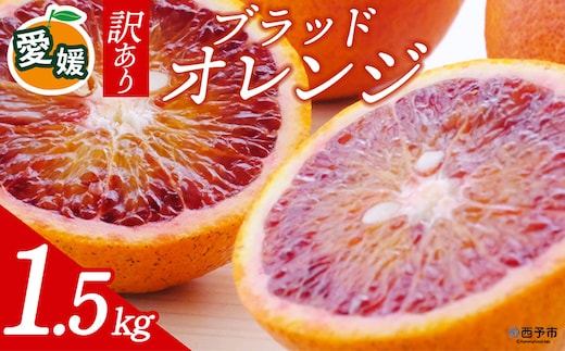 先行予約＜訳あり 愛媛県産 ブラッドオレンジ 合計約1.5kg＞ 『2027年2月以降順次出荷予定』タロッコ 希少 赤い みかん ご家庭用 ご自宅 蜜柑 果肉 果物 柑橘 フルーツ オレンジ 国産 濃厚 産地直送 ミヤモトオレンジガーデン 愛媛県 西予市【常温】