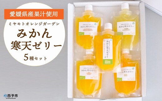 先行予約＜5種の味わい食べ比べ寒天ゼリー＞ 『1か月以内に順次出荷予定』愛媛柑橘セレクション お任せ 贅沢 フルーツ デザート セット 果物 みかん ひんやりスイーツ おやつ ギフト 贈り物 特産品 ミヤモトオレンジガーデン 愛媛県 西予市【常温】