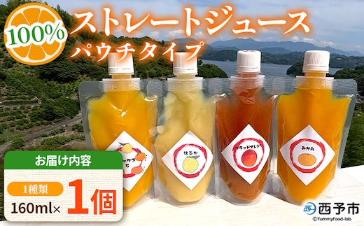＜100％ストレートジュース パウチタイプ 160ml×1個（1種類）＞『1か月以内に順次発送予定』果物 くだもの フルーツ 柑橘類 みかん 蜜柑 ミカン みかんジュース 飲料 渡江から一歩を踏み出す会 愛媛県 西予市【常温】