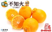 ＜秀品 不知火 (L～2Lサイズ) 約5kg＞愛媛 蜜柑 ミカン みかん 果物 フルーツ 柑橘 国産 秀品 ギフト 贈答用 しらぬひ しらぬい シラヌイ 不知火 愛媛県産 西予市産 西宇和 特産品 丸二青果 愛媛県 西予市【常温】『2026年2月～4月中旬頃までに順次出荷予定』