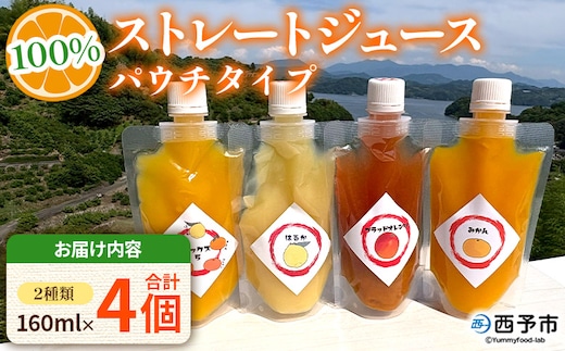 ＜100％ストレートジュース パウチタイプ 160ml×4個（2種類×2）＞『1か月以内に順次発送予定』飲み比べ セット 果物 くだもの フルーツ 柑橘類 みかん 蜜柑 ミカン みかんジュース 飲料 渡江から一歩を踏み出す会 愛媛県 西予市【常温】
