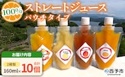 ＜100％ストレートジュース パウチタイプ 160ml×10個（2種類×5）＞『1か月以内に順次発送予定』種類はおまかせ 飲み比べ 果物 くだもの フルーツ 柑橘類 みかん 蜜柑 ミカン みかんジュース 飲料 渡江から一歩を踏み出す会 愛媛県 西予市【常温】
