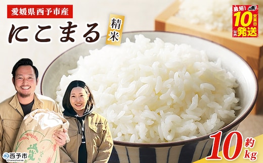 【新米】＜令和8年産 西予市産 にこまる 精米 約10kg＞ ニコマル お米 米 コメ こめ 白米 国産米 単一原料米 ご飯 10キロ お弁当 おにぎり 特産品 愛媛県産 株式会社宇都宮米穀 愛媛県 西予市【常温】『最短10営業日以内に順次出荷予定』