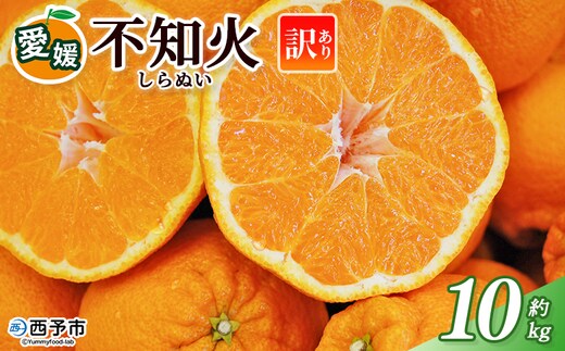 ＜訳あり 不知火 (サイズ混合) 約10kg＞ 10キロ 愛媛 蜜柑 ミカン みかん 果物 フルーツ 柑橘 国産 しらぬひ しらぬい シラヌイ 不知火 愛媛県産 西予市産 西宇和 特産品 丸二青果 愛媛県 西予市【常温】『2026年2月～3月頃に順次出荷予定』