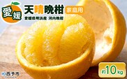 ＜天晴晩柑（河内晩柑）約10kg 愛媛県明浜産 ＞ 家庭用 果物 柑橘 みかん 和製 グレープフルーツ 食べて応援 特産品 愛媛県 西予市【常温】『2026年4月上旬～5月下旬迄に順次出荷予定』