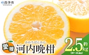 ＜愛媛県産 河内晩柑 約2.5kg（M～2L）＞ 柑橘 みかん フルーツ 和製グレープフルーツ ジューシー 初夏 旬 サイズ混合 西宇和 国産 さっぱり 甘い 農園オレンジとムラサキ 西予市【常温】『2026年4月～7月迄に順次出荷』