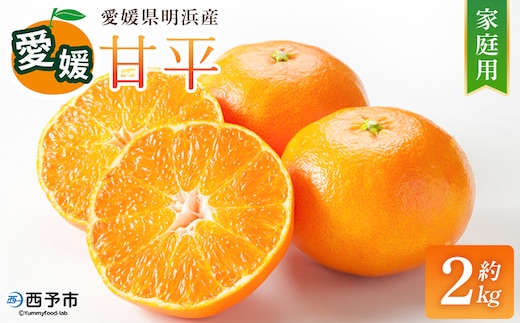【先行予約】＜甘平 家庭用 約2kg＞ ご家庭用 かんぺい 高級 柑橘 ブランド みかん 蜜柑 訳あり 果物 くだもの フルーツ ミカン 愛媛 国産 ジューシー 明浜 特産品 笑丸 愛媛県 西予市【常温】『2027年2月上旬より順次出荷予定』
