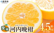 ＜愛媛県産 河内晩柑 約4.5kg（M～2L）＞ 柑橘 みかん フルーツ 和製グレープフルーツ ジューシー 初夏 旬 サイズ混合 西宇和 国産 さっぱり 甘い 農園オレンジとムラサキ 西予市【常温】『2026年4月～7月迄に順次出荷』