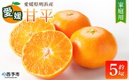 【先行予約】＜甘平 家庭用 約5kg＞ ご家庭用 かんぺい 高級 柑橘 ブランド みかん 蜜柑 訳あり 果物 くだもの フルーツ ミカン 愛媛 国産 ジューシー 明浜 特産品 笑丸 愛媛県 西予市【常温】『2027年2月上旬より順次出荷予定』