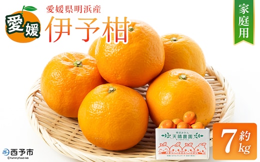 【先行予約】＜伊予柑 家庭用 約7kg＞ ご家庭用 いよかん イヨカン みかん 蜜柑 柑橘 訳あり 果物 くだもの フルーツ ミカン 愛媛 国産 7キロ ジューシー 明浜 特産品 笑丸 愛媛県 西予市【常温】『2027年1月下旬より順次出荷予定』