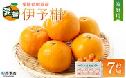 【先行予約】＜伊予柑 家庭用 約7kg＞ ご家庭用 いよかん イヨカン みかん 蜜柑 柑橘 訳あり 果物 くだもの フルーツ ミカン 愛媛 国産 7キロ ジューシー 明浜 特産品 笑丸 愛媛県 西予市【常温】『2027年1月下旬より順次出荷予定』