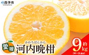 ＜愛媛県産 河内晩柑 約9kg（M～2L）＞ 柑橘 みかん フルーツ 和製グレープフルーツ ジューシー 初夏 旬 サイズ混合 西宇和 国産 さっぱり 甘い 農園オレンジとムラサキ 西予市【常温】『2026年4月～7月迄に順次出荷』