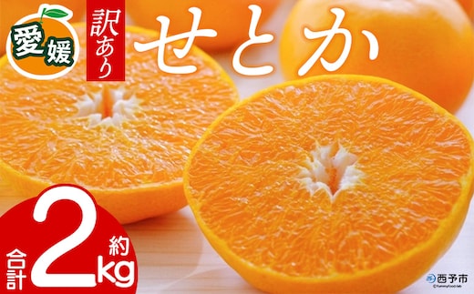 先行予約＜訳あり 愛媛県産せとか 合計約2kg＞ 『2027年2月以降順次出荷予定』ご家庭用 ご自宅用 お試し 芳醇 わけあり 果物 柑橘 フルーツ 高級柑橘 国産 とろける食感 濃厚 果汁 産地直送 特産品 ミヤモトオレンジガーデン 愛媛県 西予市【常温】