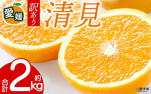 先行予約＜訳あり 愛媛県産 清見 合計約2kg＞ 『2027年4月～6月に順次出荷』きよみ 溢れる果汁 ご家庭用 ご自宅 お試し わけあり 果物 柑橘 フルーツ オレンジ 国産 濃厚 果汁 産地直送 特産品 ミヤモトオレンジガーデン 愛媛県 西予市【常温】