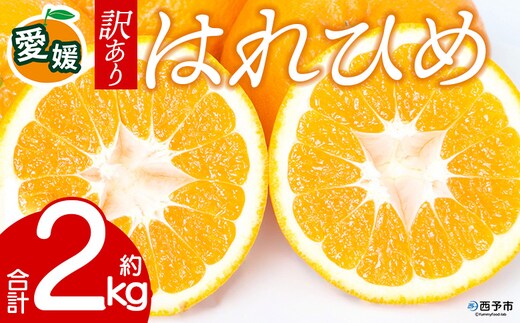 先行予約＜訳あり 愛媛県産 はれひめ 合計約2kg＞ 『2026年12月下旬以降順次出荷予定』 みかん フレッシュ ご家庭用 ご自宅 柔らか 果肉 お試し 果物 柑橘 フルーツ オレンジ 国産 産地直送 特産品 ミヤモトオレンジガーデン 愛媛県 西予市【常温】