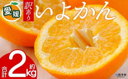 先行予約＜訳あり 愛媛県産 いよかん 合計約2kg＞ 『2027年1月以降順次出荷予定』 みかん フレッシュ ご家庭用 ご自宅 伊予柑 果肉 お試し 果物 柑橘 フルーツ オレンジ 国産 濃厚 果汁 産地直送 ミヤモトオレンジガーデン 愛媛県 西予市【常温】
