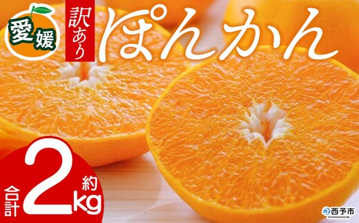 先行予約＜訳あり 愛媛県産 ポンカン 合計約2kg＞ 『2027年1月以降順次出荷予定』ぽんかん フレッシュ ご家庭用 ご自宅 蜜柑 愛媛県産 果肉 お試し 果物 柑橘 フルーツ オレンジ 国産 産地直送 ミヤモトオレンジガーデン 愛媛県 西予市【常温】