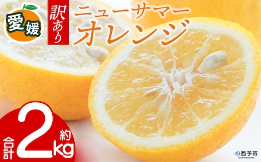 先行予約＜訳あり 愛媛県産 ニューサマーオレンジ 合計約2kg＞ 『2027年4月～5月に順次出荷予定』日向夏 小夏 ご家庭用 ご自宅 蜜柑 果肉 果物 柑橘 フルーツ オレンジ 国産 濃厚 果汁 産地直送 ミヤモトオレンジガーデン 愛媛県 西予市【常温】