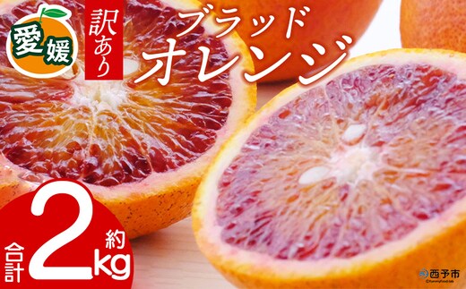 先行予約＜訳あり 愛媛県産 ブラッドオレンジ 合計約2kg＞ 『2027年2月以降順次出荷予定』タロッコ 希少 赤い みかん ご家庭用 ご自宅 蜜柑 果肉 果物 柑橘 フルーツ オレンジ 国産 濃厚 産地直送 ミヤモトオレンジガーデン 愛媛県 西予市【常温】
