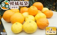 【先行予約】＜笑丸のお楽しみ柑橘福袋（家庭用）約2kg＞ 自宅用 訳あり 果物 くだもの フルーツ ミカン みかん 蜜柑 高級柑橘 詰め合わせ 春柑橘 春みかん 夏柑橘 特産品 笑丸 愛媛県 西予市 常温『2027年1月～5月に順次出荷予定』