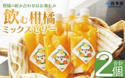 ＜つるんと食感の飲む柑橘ミックスゼリー 2個＞『1か月以内に順次発送予定』果物ゼリー くだもの ゼリー パウチ みかん 蜜柑 デザート スイーツ おやつ のむ ストレート 果汁 100％ 食感 ぷるぷる お楽しみ 渡江から一歩を踏み出す会 愛媛県 西予市 【常温】