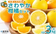 ＜愛媛県西予市産 さわやか柑橘セット 合計約3kg＞『5月～6月中旬頃迄に順次出荷予定』甘夏 河内晩柑 あまなつ ばんかん 果物 フルーツ みかん ミカン 蜜柑 食べ比べ 詰合せ 甘酸っぱい かんきつ 柑橘 特産品 夕焼け山農園 愛媛県 西予市 【常温】