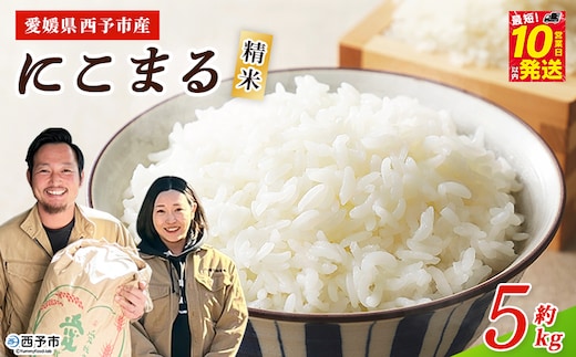 【新米】＜令和8年産 西予市産 にこまる 精米 約5kg＞ ニコマル お米 米 コメ こめ 白米 国産米 単一原料米 ご飯 5キロ お弁当 おにぎり 特産品 愛媛県産 株式会社宇都宮米穀 愛媛県 西予市【常温】『最短10営業日以内に順次出荷予定』
