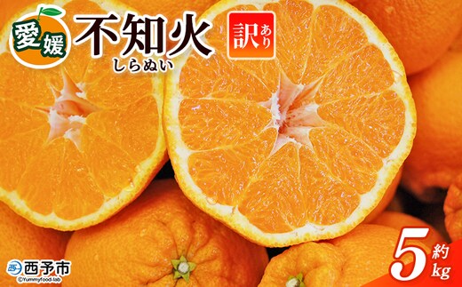 ＜訳あり 不知火 (サイズ混合) 約5kg＞ 5キロ 愛媛 蜜柑 ミカン みかん 果物 フルーツ 柑橘 国産 しらぬひ しらぬい シラヌイ 不知火 愛媛県産 西予市産 西宇和 特産品 丸二青果 愛媛県 西予市【常温】『2026年2月～3月頃に順次出荷予定』