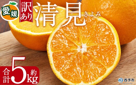 ＜訳あり 清見 (サイズ混合) 約5kg＞ 愛媛 蜜柑 ミカン みかん 果物 フルーツ 柑橘 国産 きよみ 訳アリ ご家庭用 愛媛県産 西予市産 西宇和 特産品 丸二青果 愛媛県 西予市【常温】『2026年3月中旬から順次出荷予定』