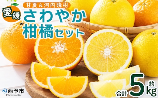＜愛媛県西予市産 さわやか柑橘セット 合計約5kg＞『5月～6月中旬頃迄に順次出荷予定』甘夏 河内晩柑 あまなつ ばんかん 果物 フルーツ みかん ミカン 蜜柑 食べ比べ 詰合せ 甘酸っぱい かんきつ 柑橘 特産品 夕焼け山農園 愛媛県 西予市 【常温】