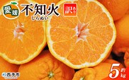 ＜訳あり 不知火 (サイズ混合) 約5kg＞ 5キロ 愛媛 蜜柑 ミカン みかん 果物 フルーツ 柑橘 国産 しらぬひ しらぬい シラヌイ 不知火 愛媛県産 西予市産 西宇和 特産品 丸二青果 愛媛県 西予市【常温】『2026年2月～4月中旬頃までに順次出荷予定』