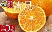 ＜訳あり 清見 (サイズ混合) 約5kg＞ 愛媛 蜜柑 ミカン みかん 果物 フルーツ 柑橘 国産 きよみ 訳アリ ご家庭用 愛媛県産 西予市産 西宇和 特産品 丸二青果 愛媛県 西予市【常温】『2026年3月中旬から順次出荷予定』