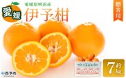 ＜伊予柑 贈答用 約7kg＞ ギフト いよかん イヨカン みかん 蜜柑 柑橘 果物 くだもの フルーツ ミカン 愛媛 国産 7キロ 果汁 ジューシー 明浜 特産品 笑丸 愛媛県 西予市【常温】『2026年1月下旬より順次出荷予定』