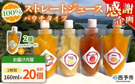 【感謝企画】＜100％ストレートジュース パウチタイプ 160ml×20個（2種類×10）＋パウチゼリー165g×2個＞『1か月以内に順次発送予定』種類はおまかせ 飲み比べ 果物 くだもの フルーツ 柑橘類 みかん 蜜柑 ミカン みかんジュース 飲料 渡江から一歩を踏み出す会 愛媛県 西予市【常温】