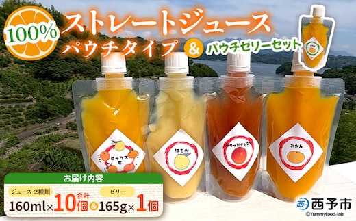 ＜100％ストレートジュース パウチタイプ 160ml×10個（2種類×5）＆パウチゼリー165g×1個＞『1か月以内に順次発送予定』種類はおまかせ 飲み比べ 果物 くだもの フルーツ 柑橘類 みかん 蜜柑 ミカン みかんジュース 飲料 渡江から一歩を踏み出す会 愛媛県 西予市【常温】