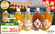 【感謝企画】＜100％ストレートジュース パウチタイプ 160ml×20個（2種類×10）＋パウチゼリー165g×2個＞『1か月以内に順次発送予定』種類はおまかせ 飲み比べ 果物 くだもの フルーツ 柑橘類 みかん 蜜柑 ミカン みかんジュース 飲料 渡江から一歩を踏み出す会 愛媛県 西予市【常温】