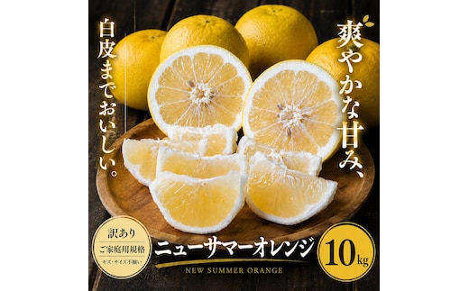 ＜訳あり 愛媛県産ニューサマーオレンジ 合計約10kg＞『2027年4月中旬～5月下旬迄に順次出荷予定』 日向夏 小夏 甘い ご家庭用 果汁 果物 くだもの フルーツ みかん オレンジ 柑橘 人気柑橘 特産品 株式会社OSN 愛媛県 西予市 【常温】