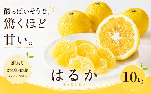 ＜訳あり 愛媛県産はるか 合計約10kg＞『2027年2月上旬～3月下旬迄に順次出荷予定』 上品な甘さ 甘い あまい 果汁 果物 くだもの フルーツ みかん オレンジ 柑橘 人気柑橘 特産品 株式会社OSN 愛媛県 西予市 【常温】