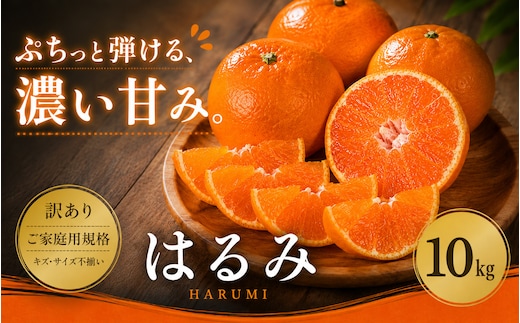 ＜訳あり 愛媛県産はるみ 合計約10kg＞『2027年2月上旬～3月下旬迄に順次出荷予定』甘い ご家庭用 果汁 果物 くだもの フルーツ みかん オレンジ 柑橘 人気柑橘 特産品 株式会社OSN 愛媛県 西予市 【常温】