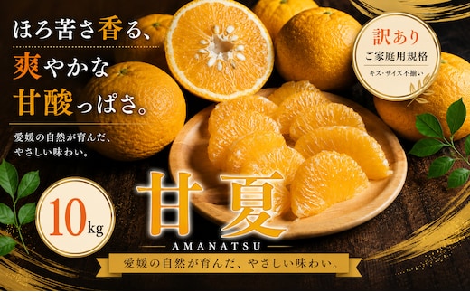 ＜訳あり 愛媛県産甘夏 合計約10kg＞『2027年3月下旬～4月下旬迄に順次出荷予定』あまなつ 甘酸っぱい あまずっぱい ご家庭用 果汁 果物 くだもの フルーツ みかん オレンジ 柑橘 人気柑橘 特産品 株式会社OSN 愛媛県 西予市 【常温】