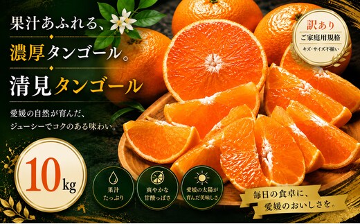 ＜訳あり 愛媛県産清見タンゴール 合計約10kg＞『2027年3月上旬～4月下旬迄に順次出荷予定』 濃厚 甘い ご家庭用 果汁 果物 くだもの フルーツ みかん オレンジ 柑橘 人気柑橘 特産品 株式会社OSN 愛媛県 西予市 【常温】