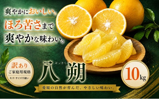 ＜訳あり 愛媛県産八朔 合計約10kg＞『2027年2月上旬～3月下旬迄に順次出荷予定』ご家庭用 爽やか 果汁 果物 はっさく くだもの フルーツ みかん オレンジ 柑橘 人気柑橘 特産品 株式会社OSN 愛媛県 西予市 【常温】