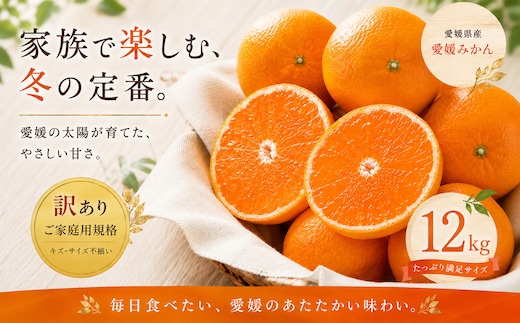＜訳あり 愛媛県産みかん 合計約12kg＞『2026年10月下旬～1月下旬迄に順次出荷予定』 ミカン 蜜柑 食感 甘い ご家庭用 果汁 果物 くだもの フルーツ みかん オレンジ 柑橘 人気柑橘 特産品 株式会社OSN 愛媛県 西予市 【常温】