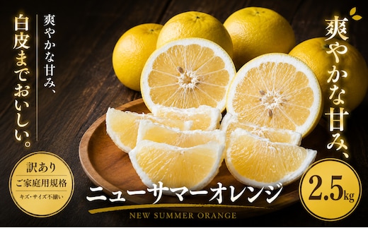 ＜訳あり 愛媛県産ニューサマーオレンジ 合計約2.5kg＞『2027年4月中旬～5月下旬迄に順次出荷予定』 日向夏 小夏 甘い ご家庭用 果汁 果物 くだもの フルーツ みかん オレンジ 柑橘 人気柑橘 特産品 株式会社OSN 愛媛県 西予市 【常温】